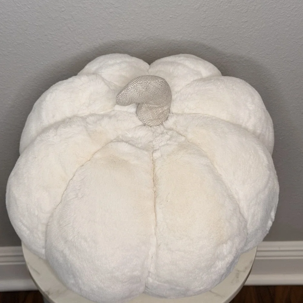 Martha Stewart Cream Plush Pumpkin Pillow Neutral Fall Autumn Farmhouse‎ 12x14
